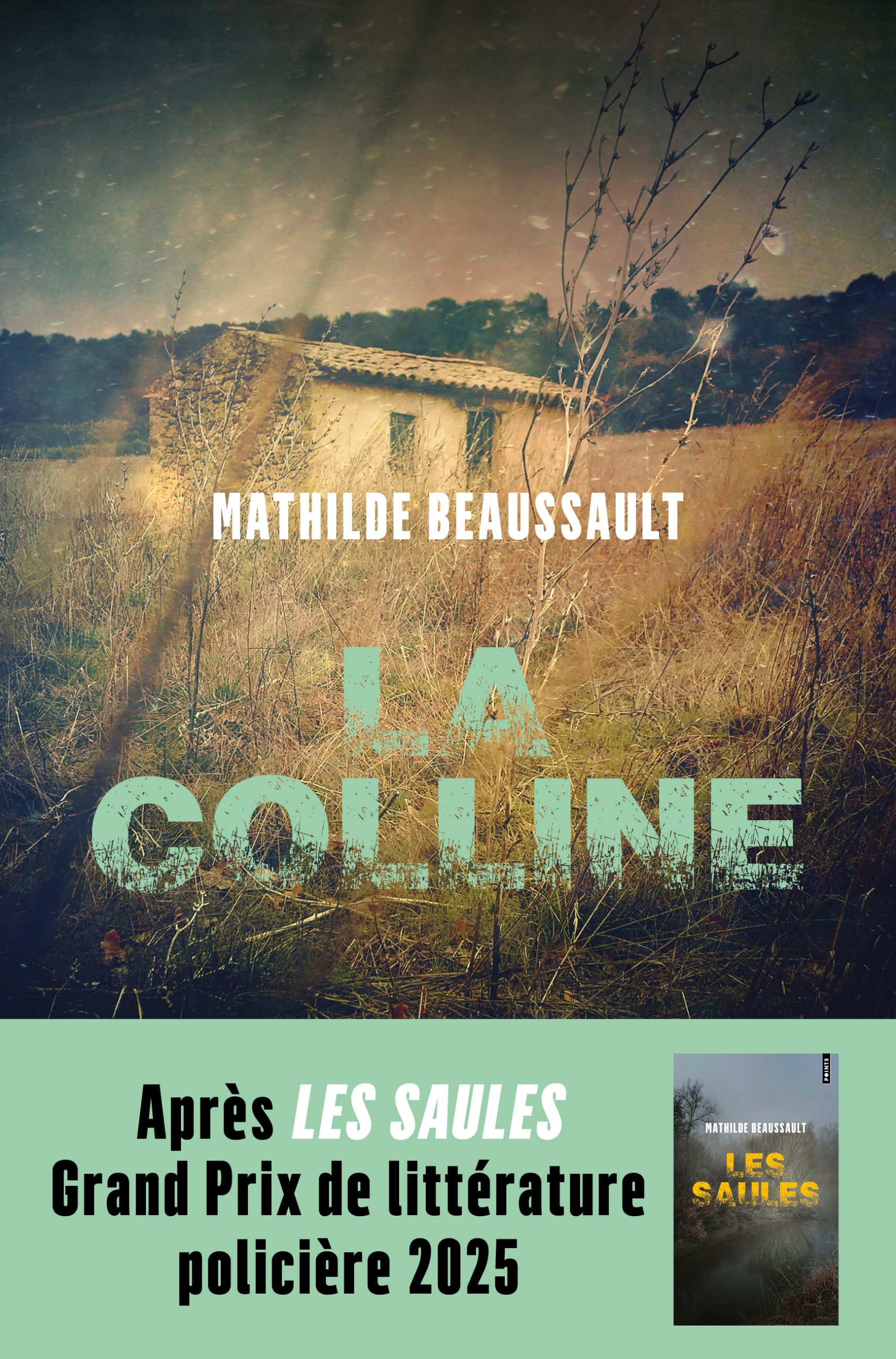 La fille au pair roman